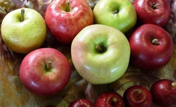 اطلاعاتی جالب در خصوص تنوع سیب ها و خاستگاه آنها ، قسمت اول