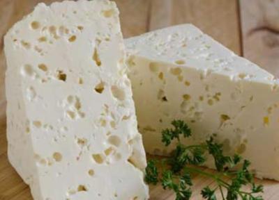 طرز تهیه پنیر خانگی با قرص پنیر به روشی ساده و حرفه ای