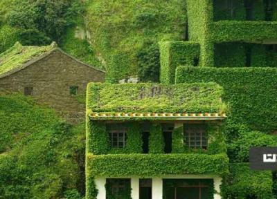 پادشاهی طبیعت در زیباترین روستای متروکه چین